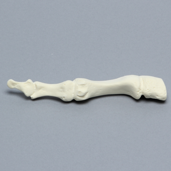 Metatarsal, First, Solid Foam, Left, Large