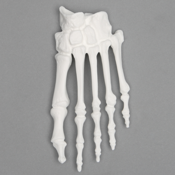Forefoot, Solid White Plastic, Left, Large