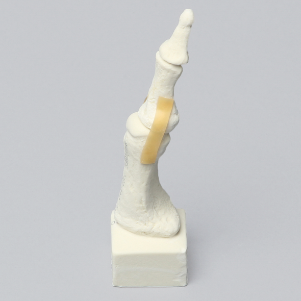 Metatarsal with Articulation, Solid Foam, Left