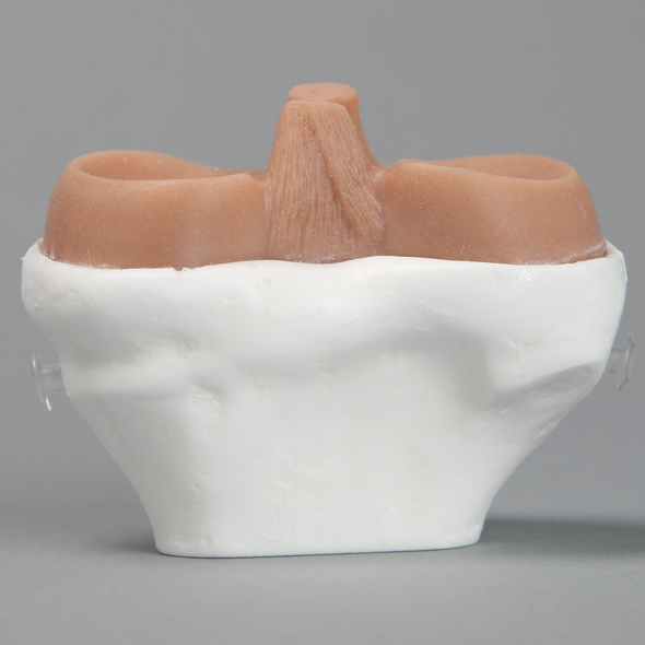 Replacement Tibia for Suture Trainer
