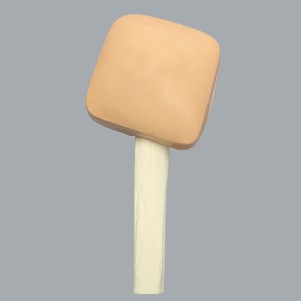 Humerus with Skin Patch, Proximal