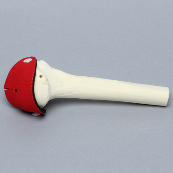 Humerus with Rotator Cuff, Foam Cortical, Proximal