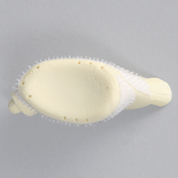 Glenoid with Anchor Tunnels for ALEX II and ALEX III Shoulder Professors