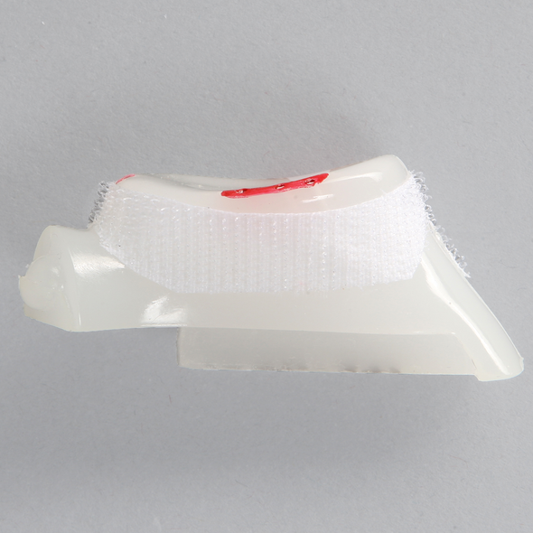 Clear Glenoid Component for ALEX II and ALEX III Shoulder Professors