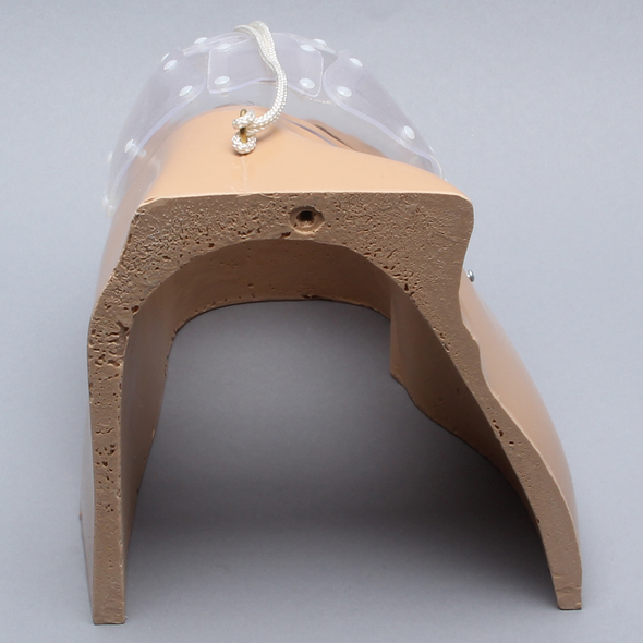 Alex II Shoulder Replacement Shell