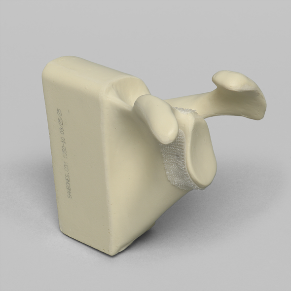 Scapula Replacement for 1050-13, Foam Cortical, Left