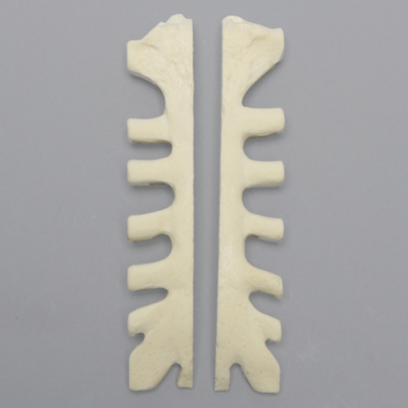 Sternum for 1703-344, Split, Solid Foam