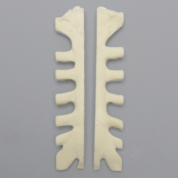 Sternum for 1703-344, Split, Solid Foam
