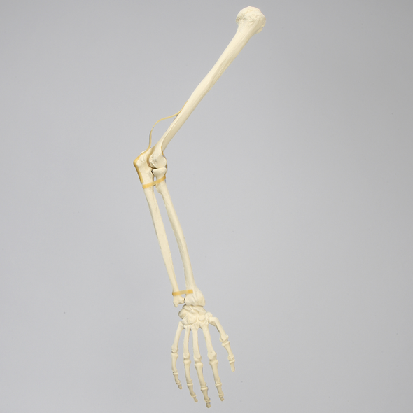 Arm, Solid Foam, Right