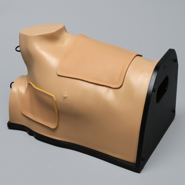 Thoracostomy Model