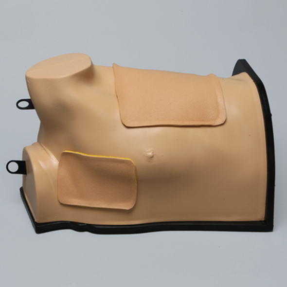 Thoracostomy Model