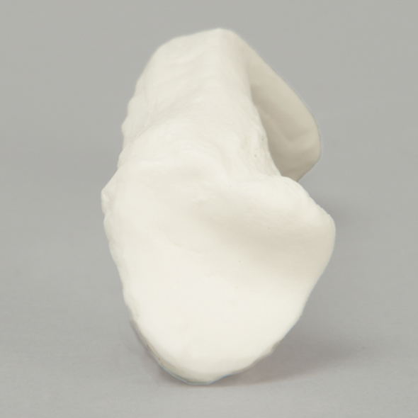 Clavicle, Solid White Plastic, Right