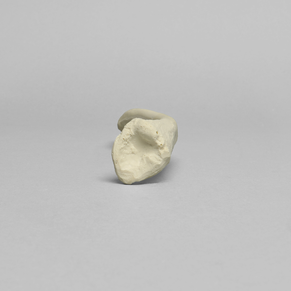 Clavicle, Solid Foam, Left