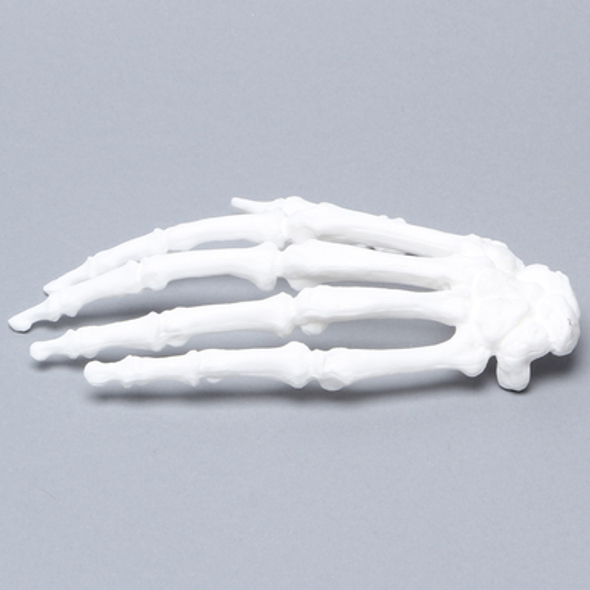 Hand with Carpals and Metacarpals, Solid White Plastic