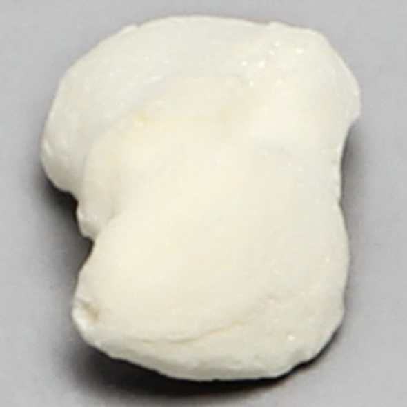 Scaphoid, Solid Foam, Left