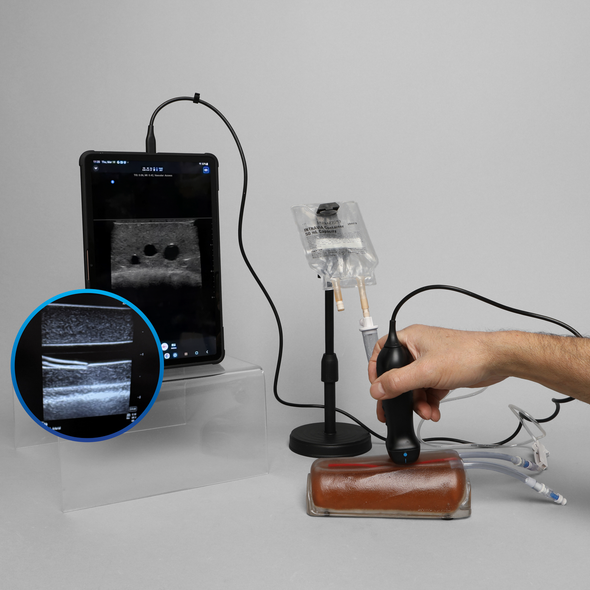 Ultrasound Branching 3-Vein Access Trainer with Artery, Clear Tone