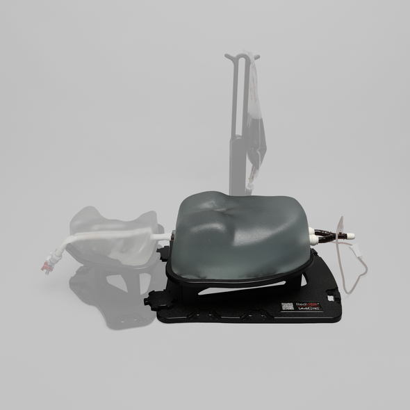 Ultrasound Right Heart Chamber and Valve Visualization Module, Clear Tone