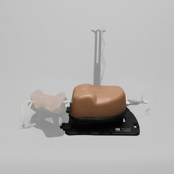 Ultrasound Right Heart Chamber and Valve Visualization Module, Medium Tone