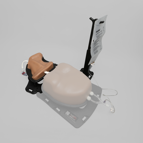 Ultrasound Internal Jugular and Carotid Cannulation Module, Medium Tone