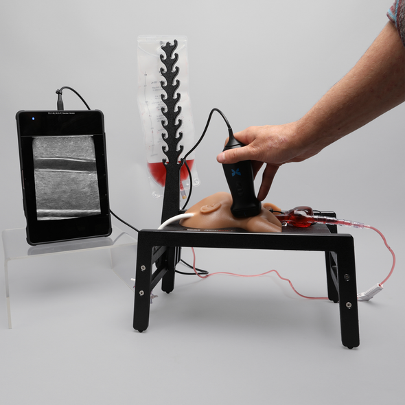 Ultrasound Neonatal Internal Jugular and Carotid Cannulation Trainer, Medium Tone