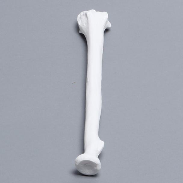 Radius, Solid White Plastic, Right