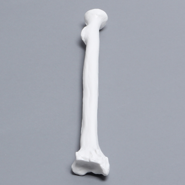 Radius, Solid White Plastic, Right