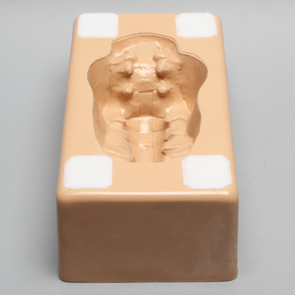 Lumbar Holder, Base Unit L1-Sacrum