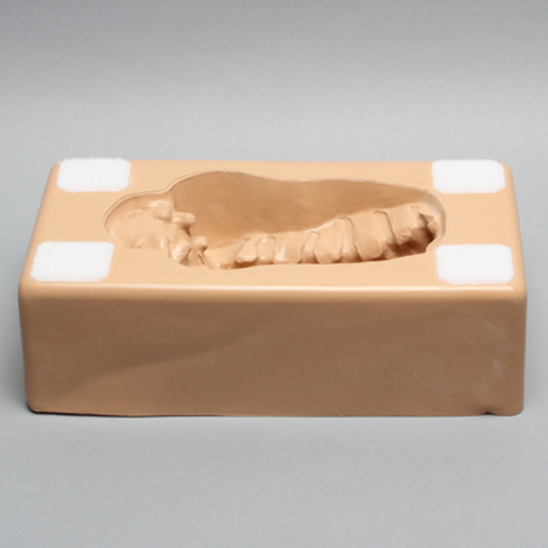 Lumbar Holder, Base Unit L1-Sacrum