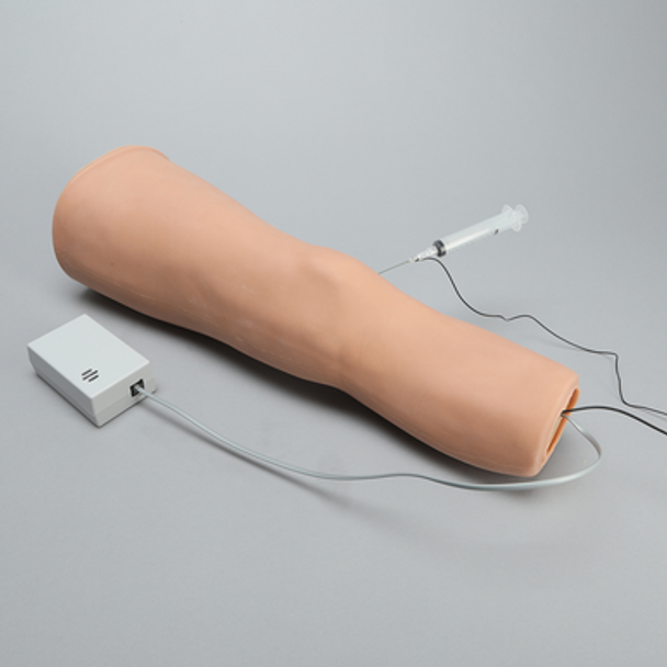 Knee Injection Model Knee Injection Model