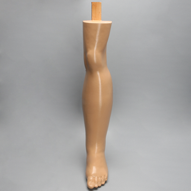 Partial Leg, Soft Tissue, with Edema Pathology
