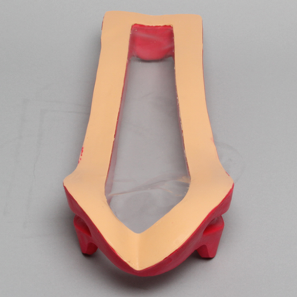 Clear Cover for Vertebroplasty Trunk #1513-19.