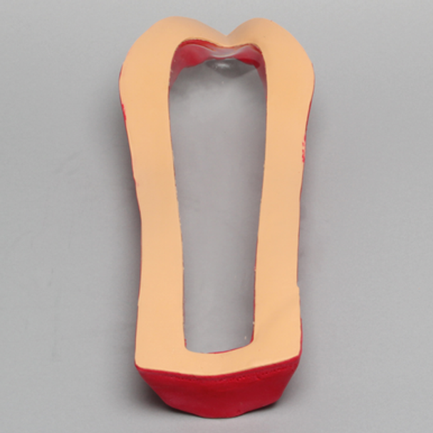Clear Cover for Vertebroplasty Trunk #1513-19.