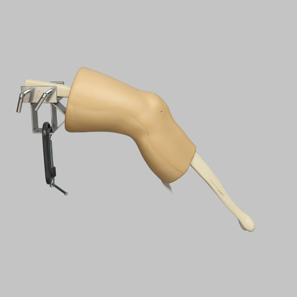 ACL Knee Trainer, Medium