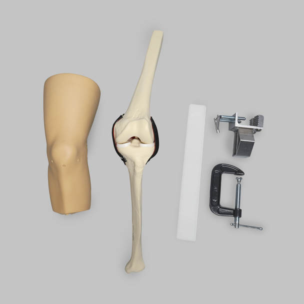 ACL Knee Trainer, Medium