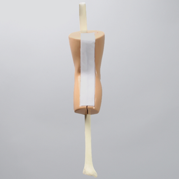 ACL Knee Trainer, Medium ACL Knee Trainer, Medium