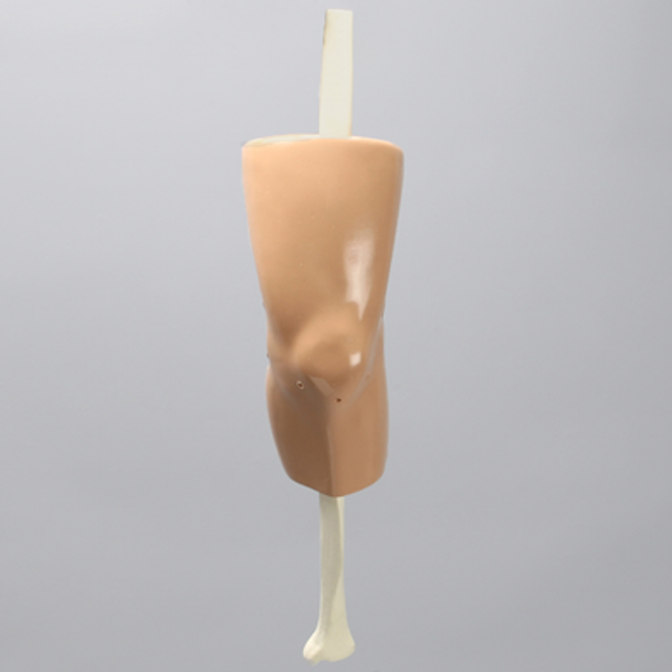 ACL Knee Trainer, Medium ACL Knee Trainer, Medium