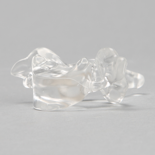 Vertebra C7, Solid Clear Plastic
