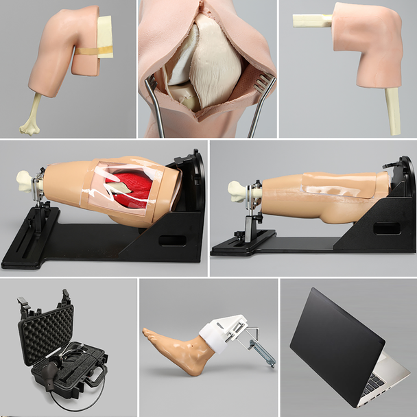 Arthroscopy Simulation Complete Bundle Deluxe