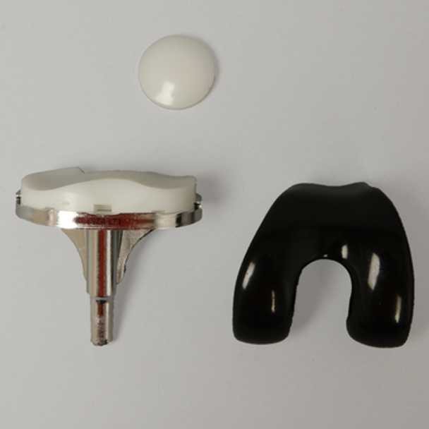 Total Knee Modular Demonstrator