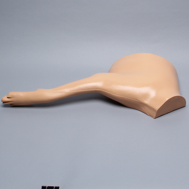 Canine Forelimb without Bones Canine Forelimb without Bones