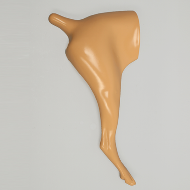 Canine Hindlimb with Encased Partial Leg