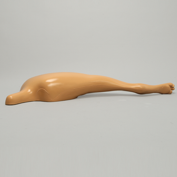 Canine Hindlimb with Encased Partial Leg