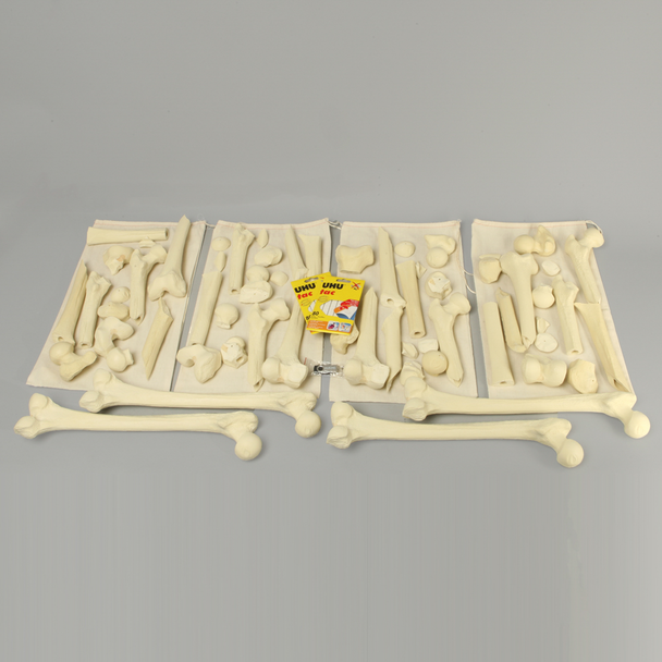 Orthopaedics in Action® Fracture Puzzles Module