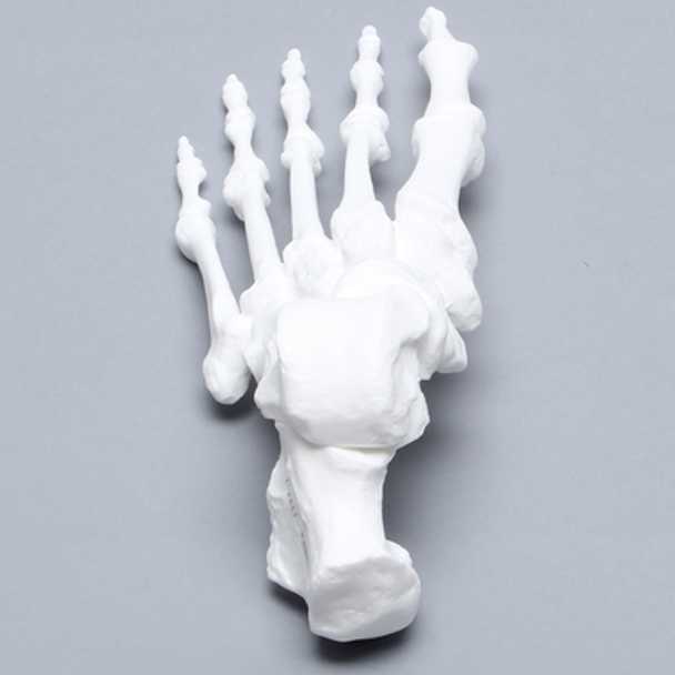 Foot, Solid White Plastic, Left