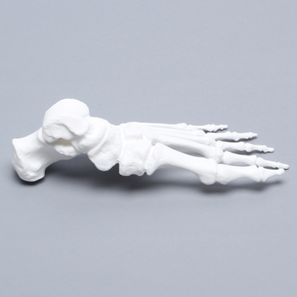 Foot, Solid White Plastic, Left