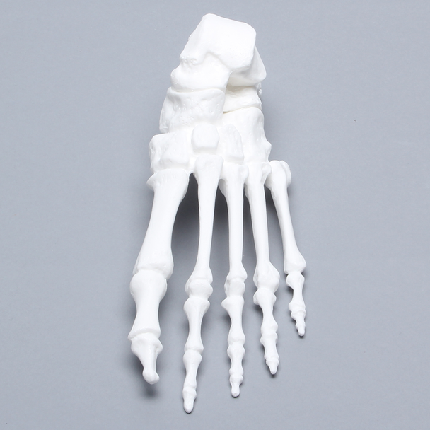 Foot, Solid White Plastic, Left