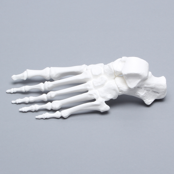 Foot, Solid White Plastic, Left