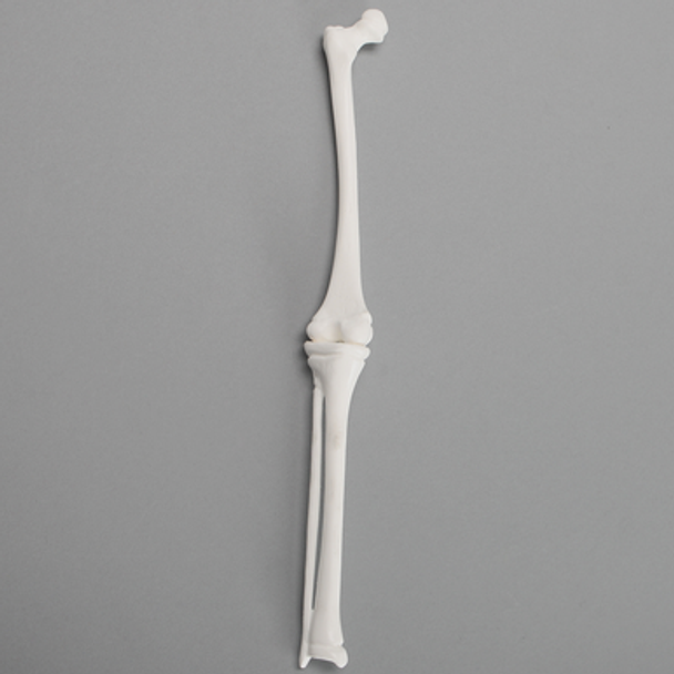 Knee, Pediatric, Solid White Plastic