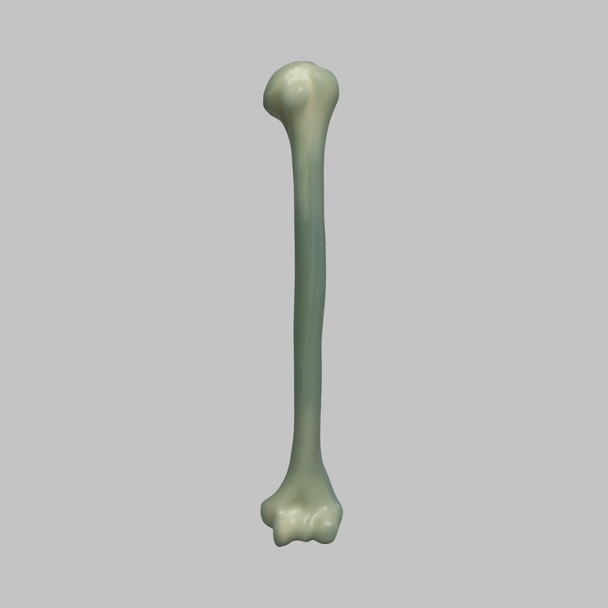 Humerus, absolute™ Osteo, 10 PCF Solid Foam, Large