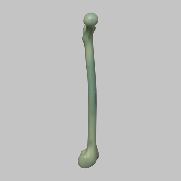 Femur, absolute™ Osteo, 10 PCF Solid Foam with 16 mm Canal, Medium